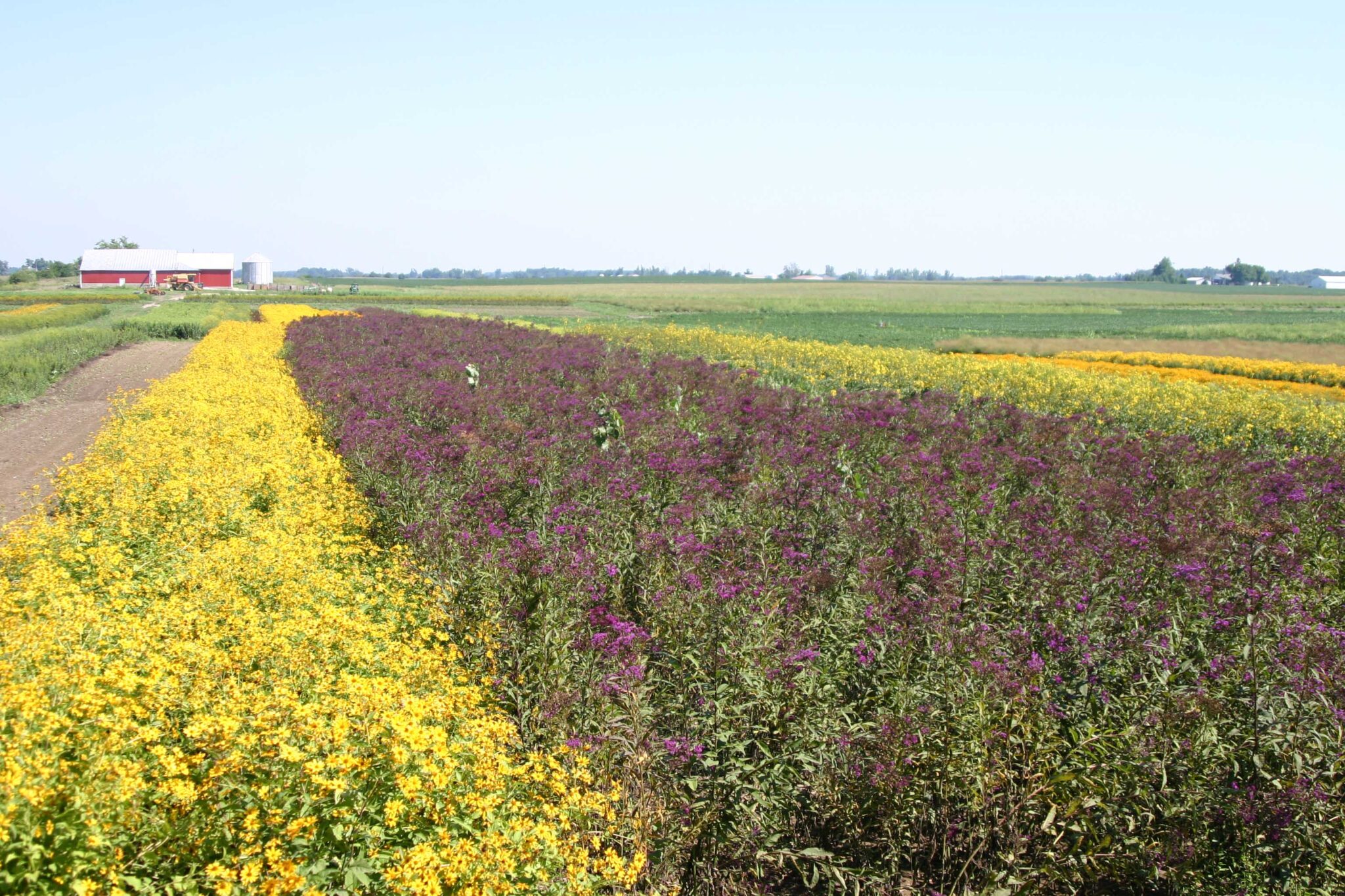 About Us - Spence Restoration Nursery